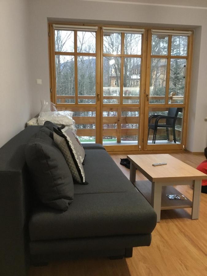 Apartament Aleksander Закопане Экстерьер фото
